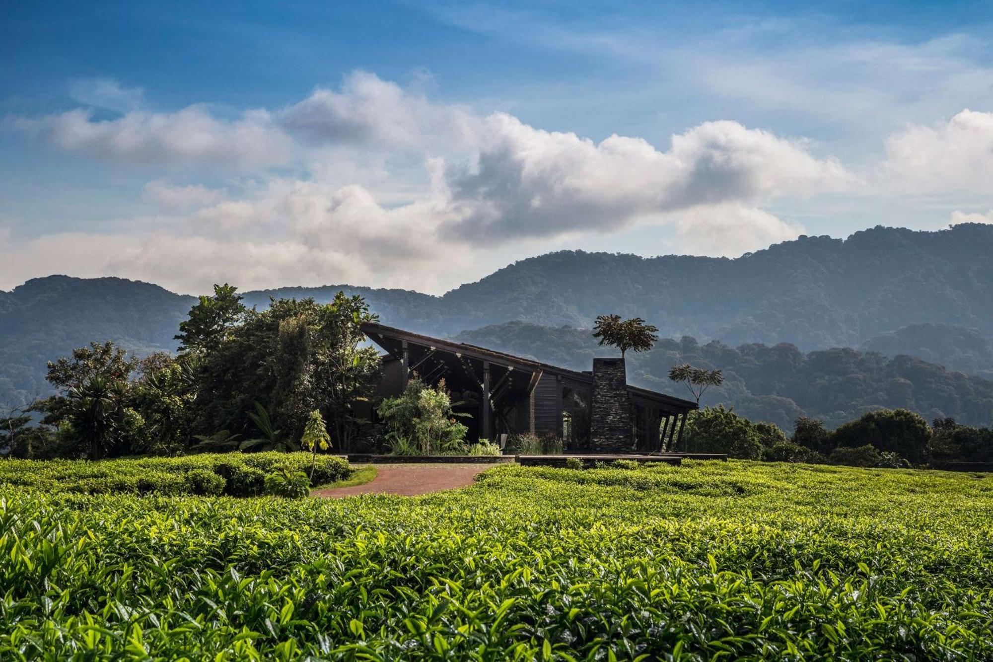 One&Only Nyungwe House Villa Rwumba ภายนอก รูปภาพ