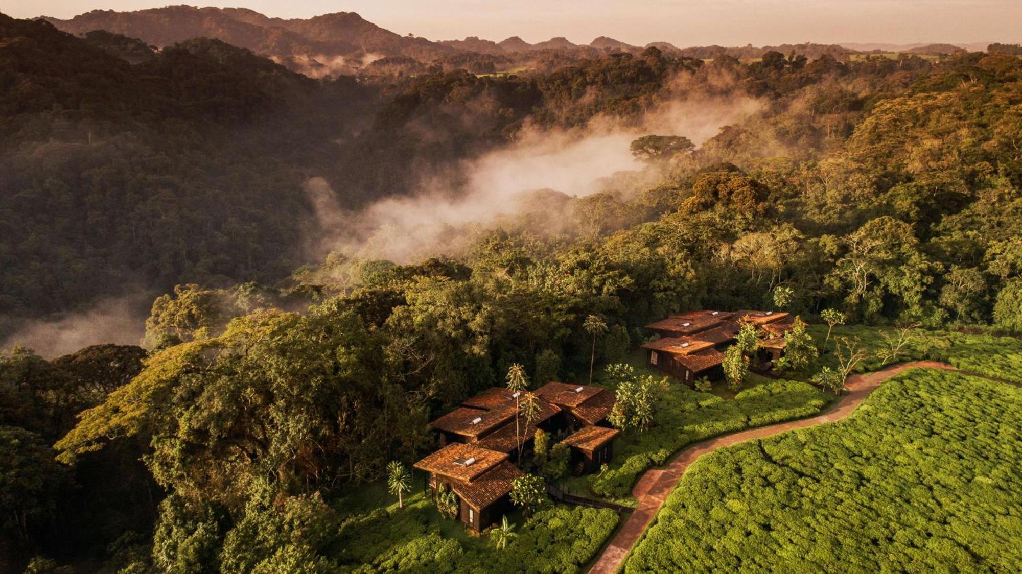 One&Only Nyungwe House Villa Rwumba ภายนอก รูปภาพ