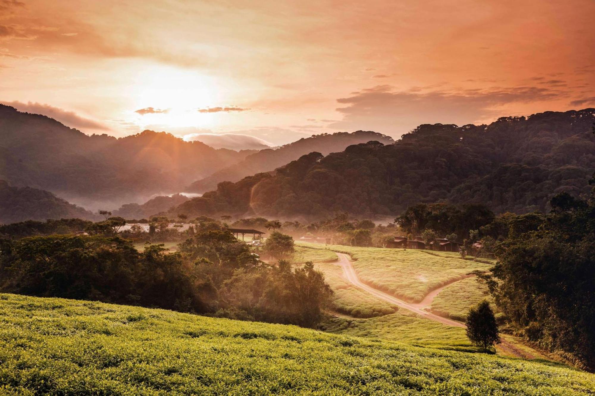 One&Only Nyungwe House Villa Rwumba ภายนอก รูปภาพ