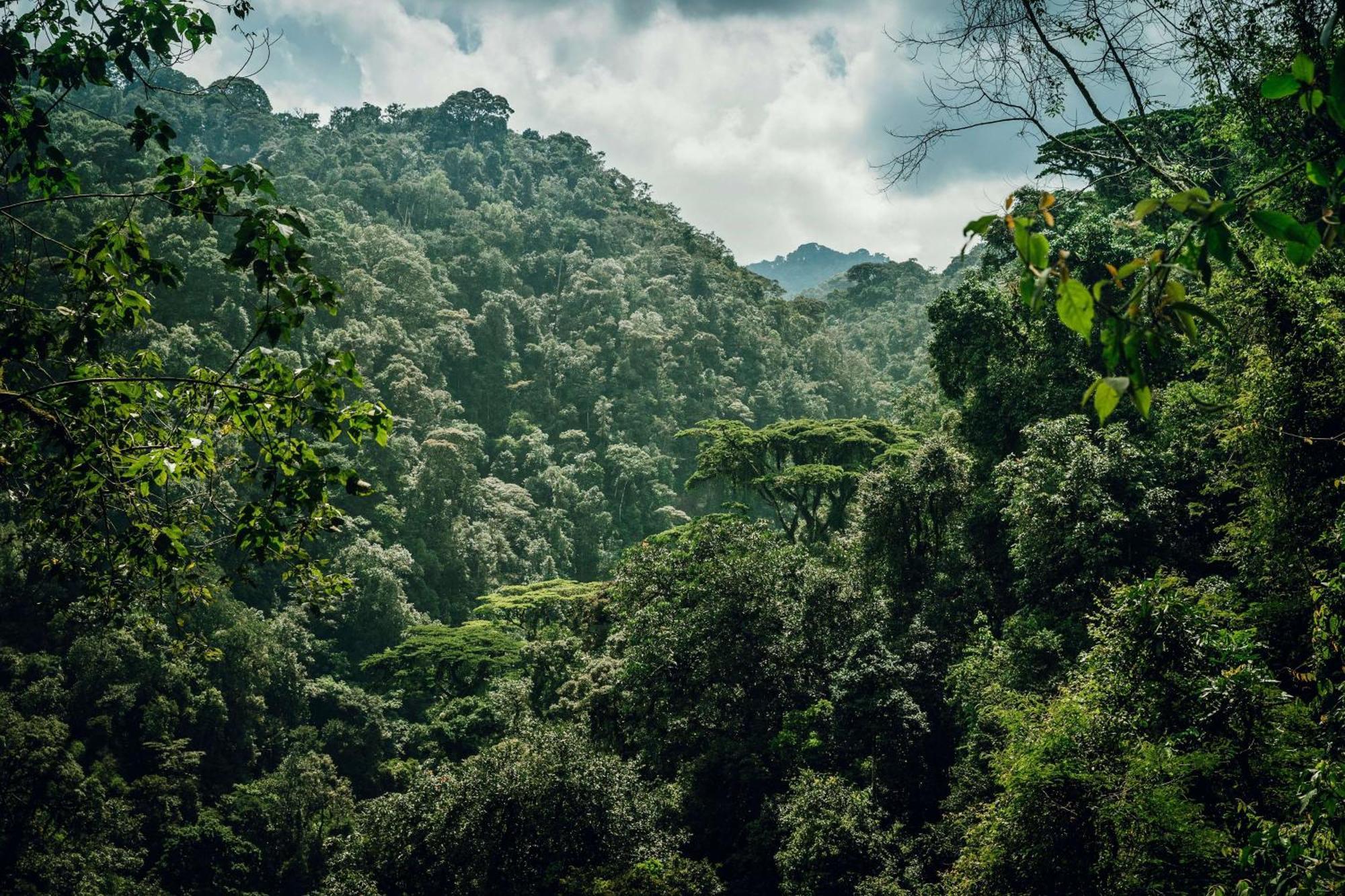 One&Only Nyungwe House Villa Rwumba ภายนอก รูปภาพ